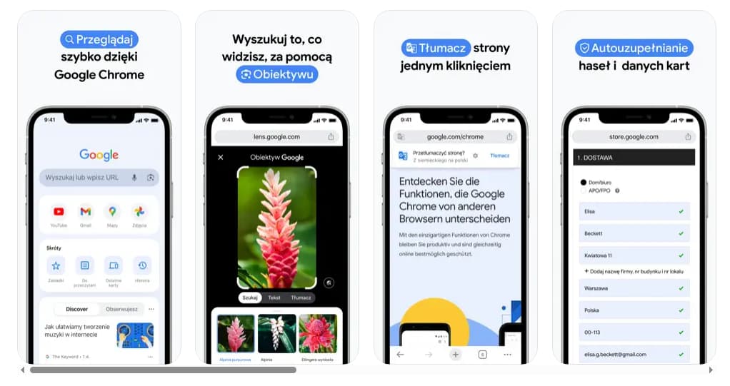 Główne funkcje Google Chrome